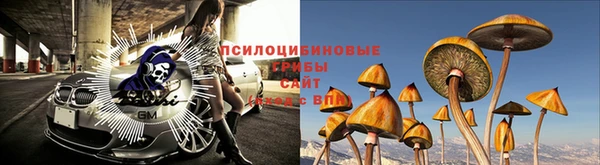 ГАЛЛЮЦИНОГЕННЫЕ ГРИБЫ Алексин