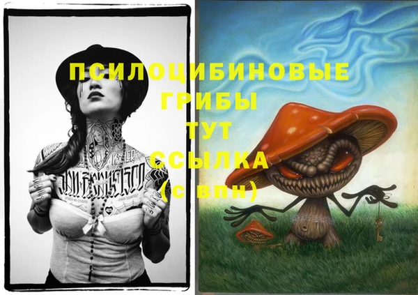 ГАЛЛЮЦИНОГЕННЫЕ ГРИБЫ Алексин