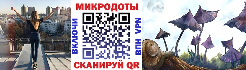 где продают   Темрюк  Псилоцибиновые грибы прущие грибы 