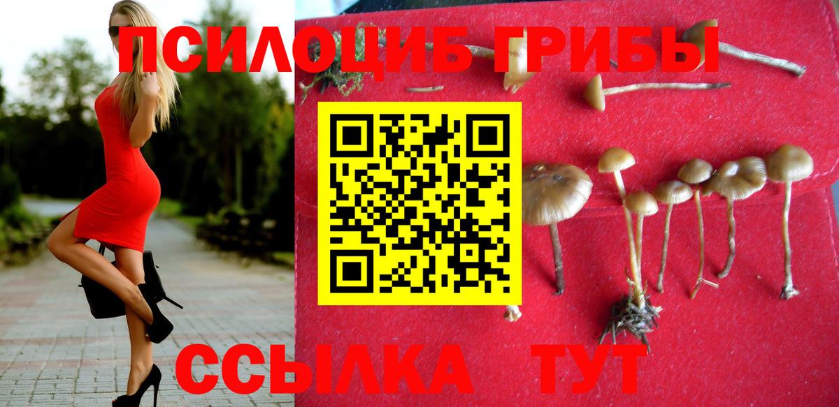 Псилоцибиновые грибы MAGIC MUSHROOMS Темрюк