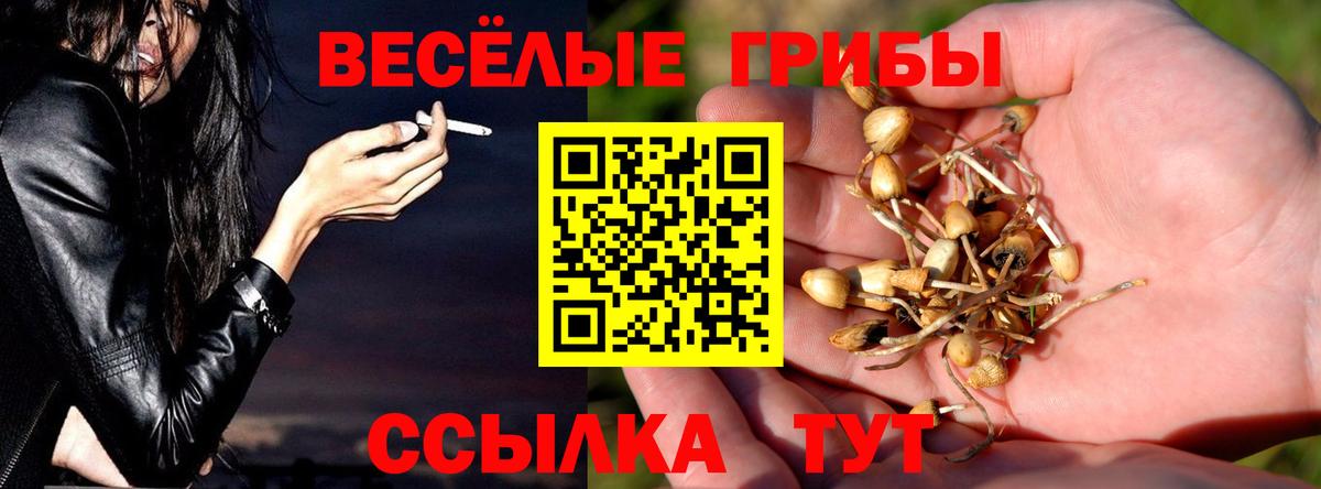 Галлюциногенные грибы мухоморы  Псилоцибиновые грибы мицелий  Темрюк  Вход с VPN 